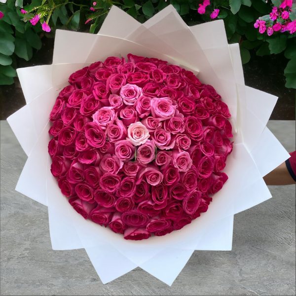 101 Dark Pink Roses - Pisces Special