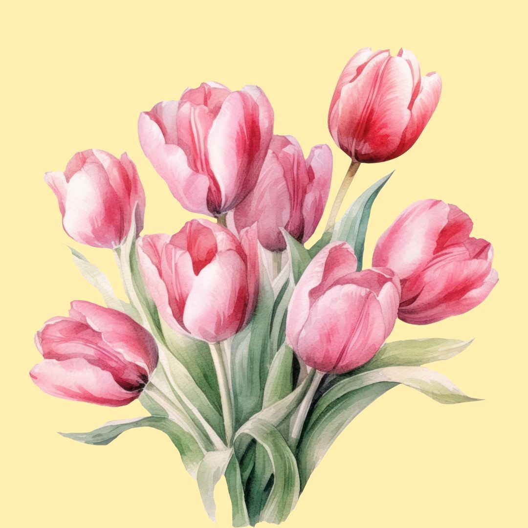 Tulip