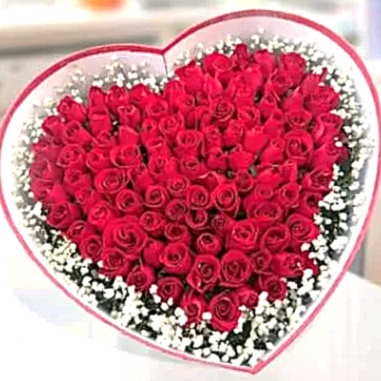 51 Red roses Heart shape