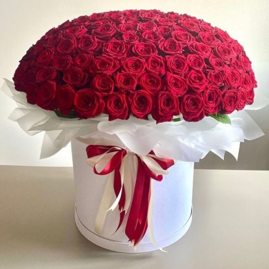 Luxurious Red Rose in a Box