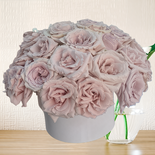 Pink Ohara Roses
