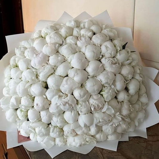 Freeze 101 White Peonies Bunch